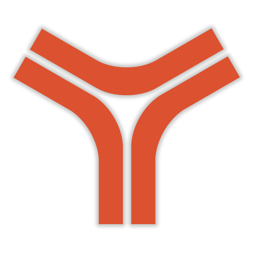 Construímos Ligações