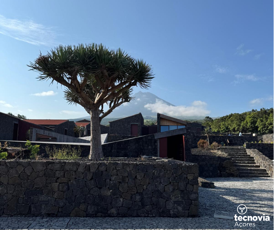 Pico Vineyards: Tecnovia Açores assina obra de referência no turismo da ilha do Pico